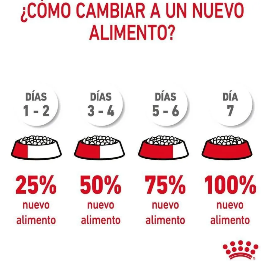 Royal Canin Adult Light Weight Care pienso para gatos