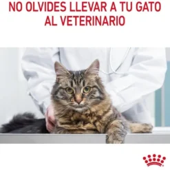 Royal Canin Adult Light Weight Care pienso para gatos