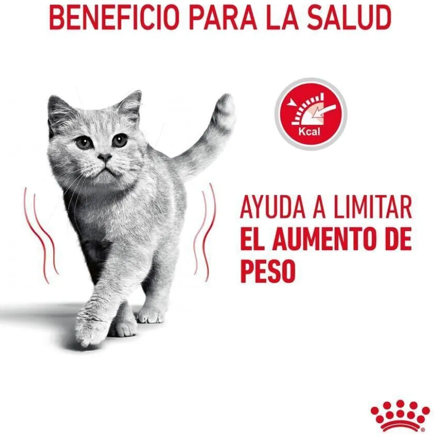 Royal Canin Adult Light Weight Care pienso para gatos