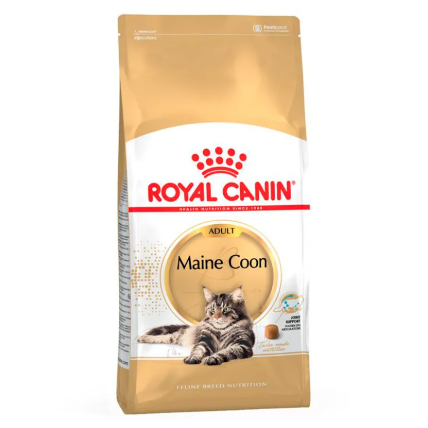 Royal Canin Adult Maine Coon pienso para gatos