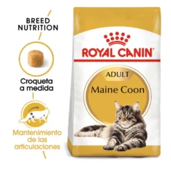Royal Canin Adult Maine Coon pienso para gatos