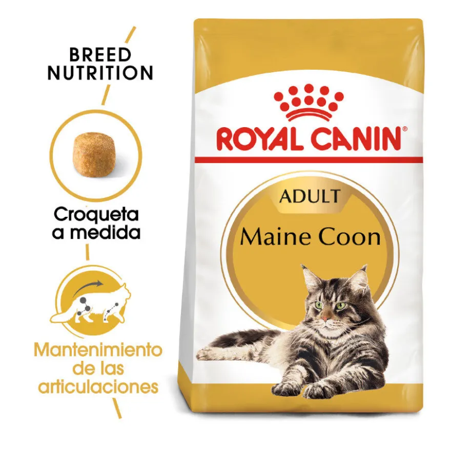 Royal Canin Adult Maine Coon pienso para gatos