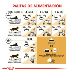 Royal Canin Adult Maine Coon pienso para gatos