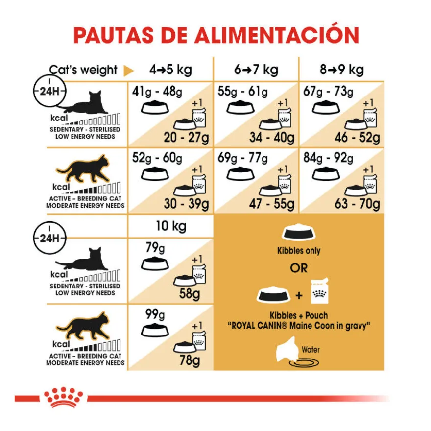 Royal Canin Adult Maine Coon pienso para gatos