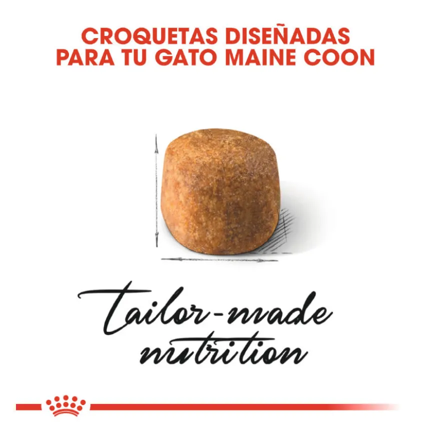 Royal Canin Adult Maine Coon pienso para gatos