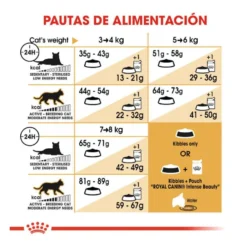 Royal Canin Adult Norwegian Forest pienso para gatos
