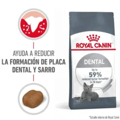 Royal Canin Adult Oral pienso para gatos