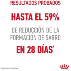 Royal Canin Adult Oral pienso para gatos