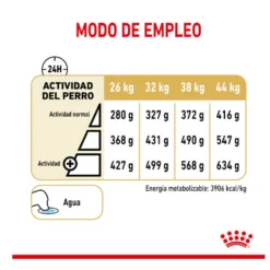 Royal Canin Adult 5+ Pastor Alemán pienso para perros
