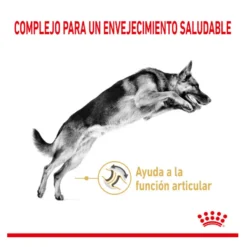 Royal Canin Adult 5+ Pastor Alemán pienso para perros
