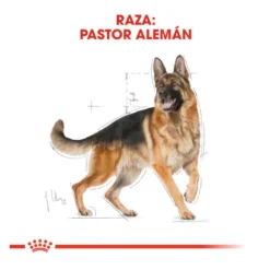 Royal Canin Adult Pastor Alemán pienso para perros
