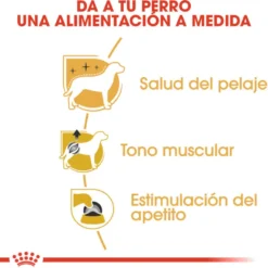 Royal Canin Adult Poodle Paté sobre para perros