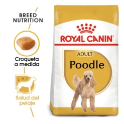 Royal Canin Adult Poodle pienso para perros