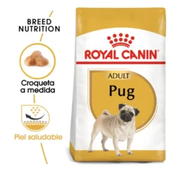 Royal Canin Adult Pug pienso para perros