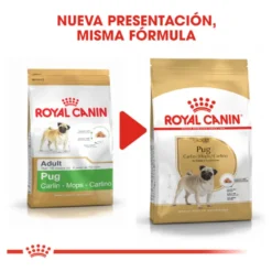 Royal Canin Adult Pug pienso para perros