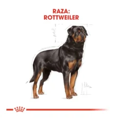 Royal Canin Adult Rottweiler pienso para perros