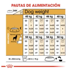 Royal Canin Adult Rottweiler pienso para perros