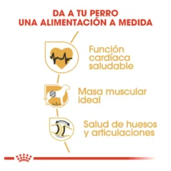 Royal Canin Adult Rottweiler pienso para perros