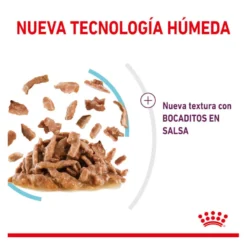 Royal Canin Adult Sensory Feel salsa sobre para gatos