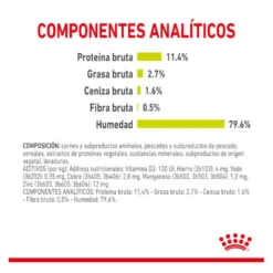 Royal Canin Adult Sensory Smell salsa sobre para gatos
