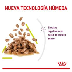 Royal Canin Adult Sensory Smell salsa sobre para gatos