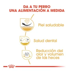 Royal Canin Adult Shih Tzu pienso para perros