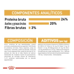 Royal Canin Adult Shih Tzu pienso para perros