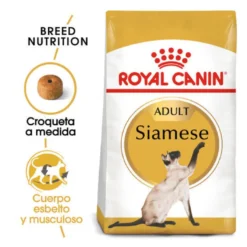 Royal Canin Adult Siamese pienso para gatos