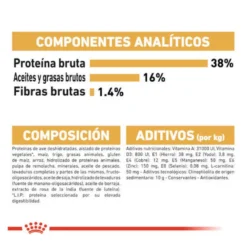 Royal Canin Adult Siamese pienso para gatos