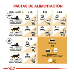 Royal Canin Adult Sphynx pienso para gatos
