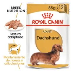 Royal Canin Adult Teckel paté en sobre para perros