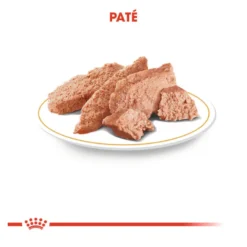 Royal Canin Adult Teckel paté en sobre para perros