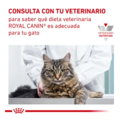 Royal Canin Adult Veterinary Urinary mousse sobre para gatos
