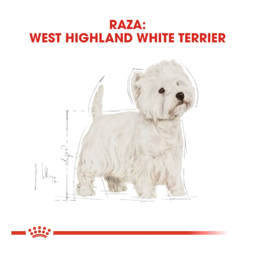 Royal Canin Adult White Terrier West Highland pienso para perros