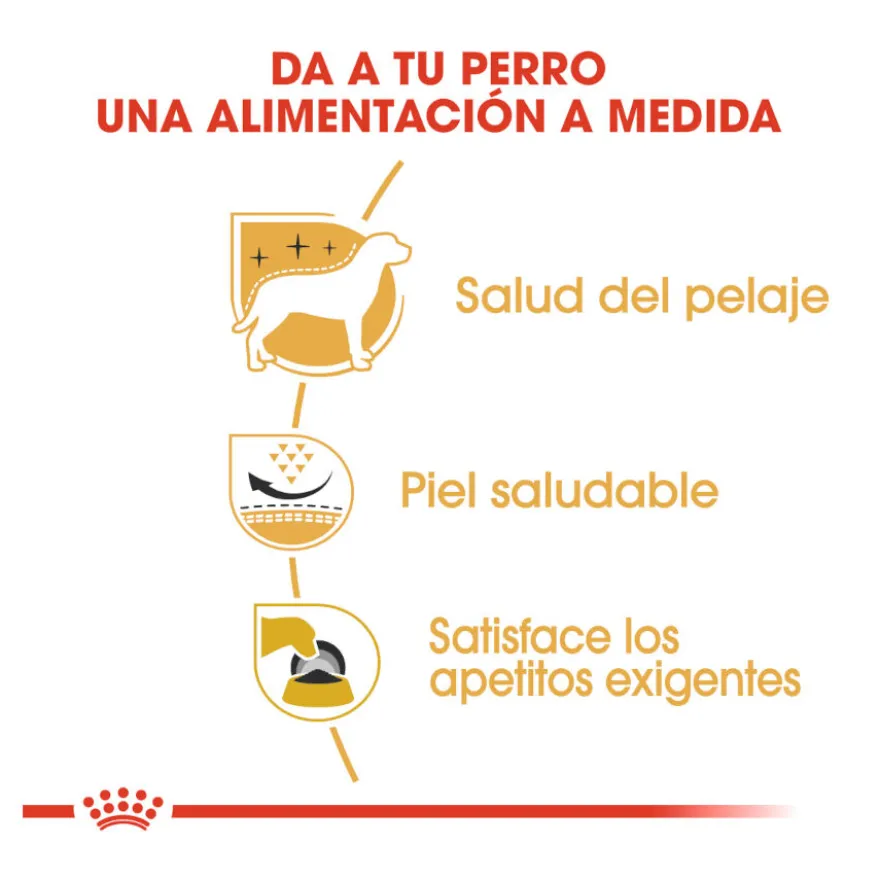 Royal Canin Adult White Terrier West Highland pienso para perros