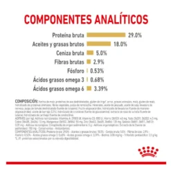 Royal Canin Adult 8+ Yorkshire pienso para perros