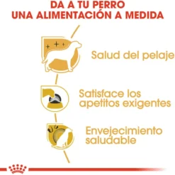 Royal Canin Adult Yorkshire Terrier pienso para perros