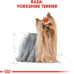 Royal Canin Adult Yorkshire Terrier pienso para perros