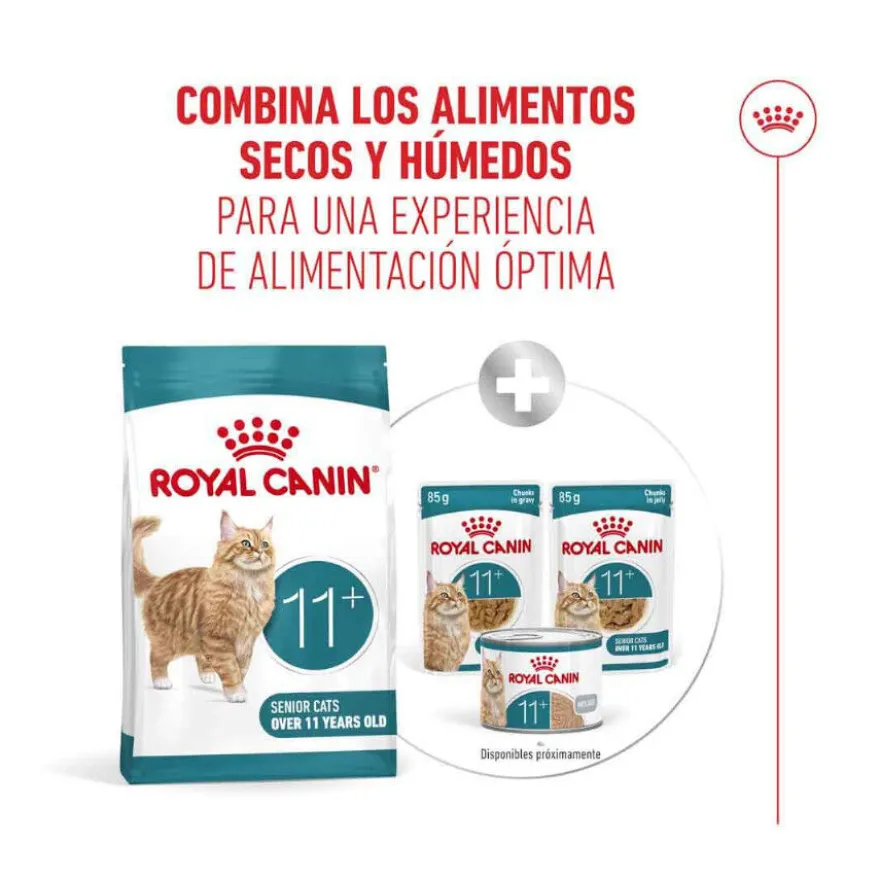 Royal Canin Ageing 11+ pienso para gatos senior
