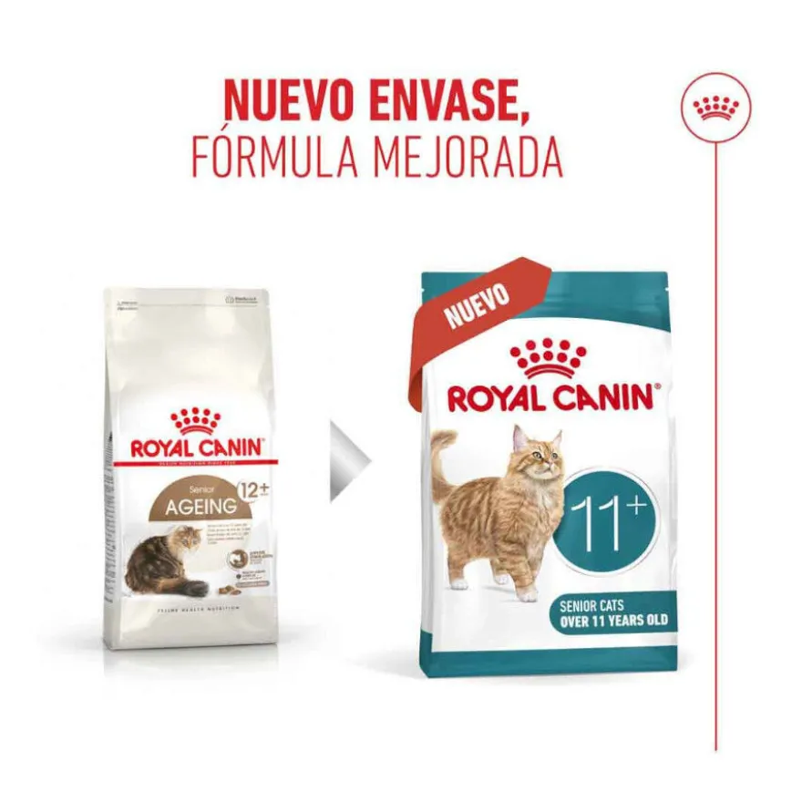 Royal Canin Ageing 11+ pienso para gatos senior