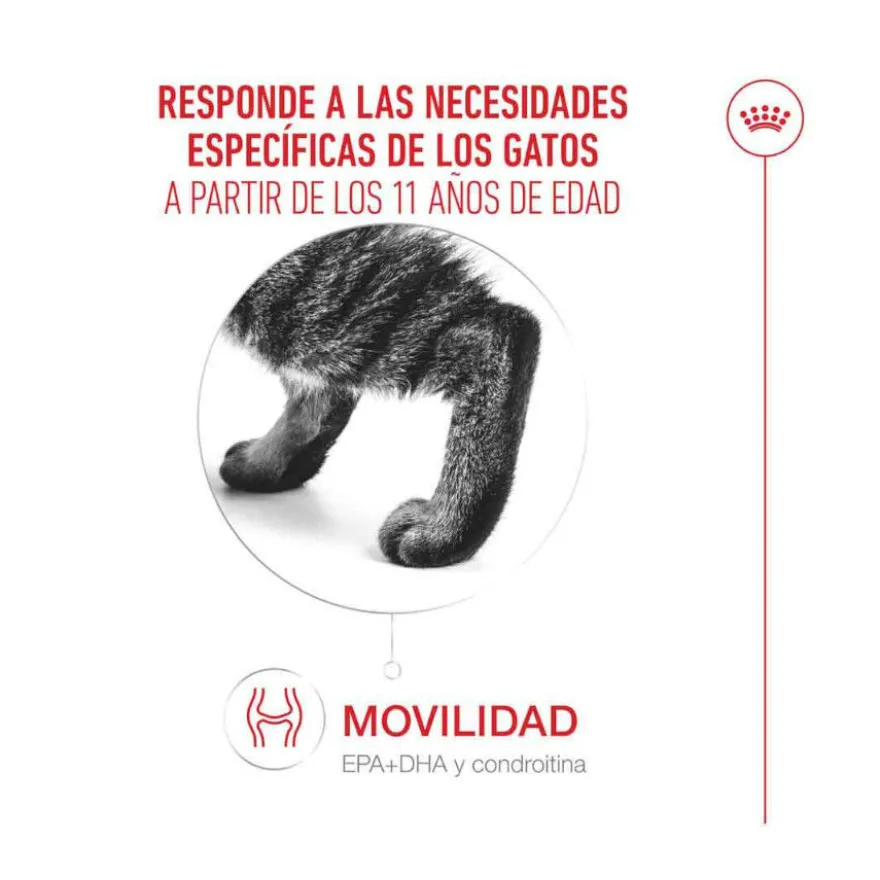 Royal Canin Ageing 11+ pienso para gatos senior