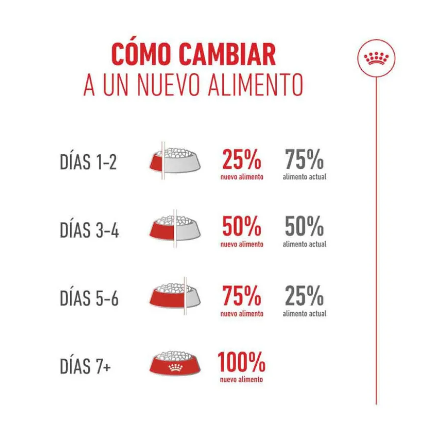 Royal Canin Ageing 11+ pienso para gatos senior