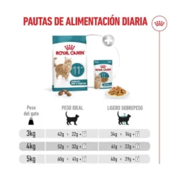 Royal Canin Ageing 11+ pienso para gatos senior