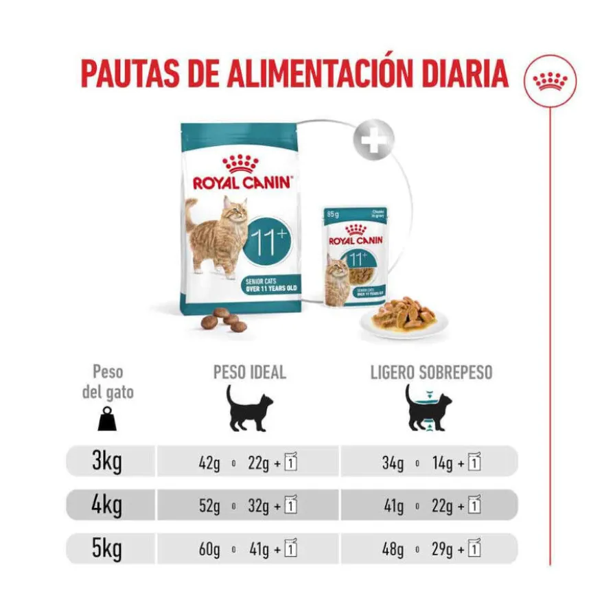 Royal Canin Ageing 11+ pienso para gatos senior