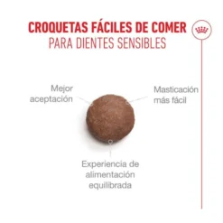 Royal Canin Ageing 11+ Sterilised pienso para gatos senior