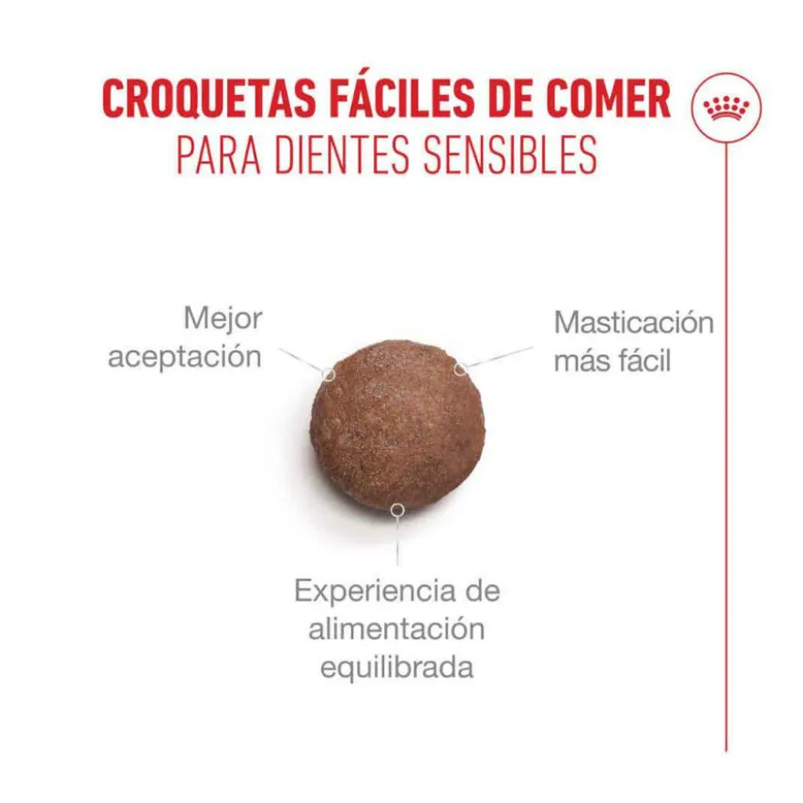 Royal Canin Ageing 11+ Sterilised pienso para gatos senior