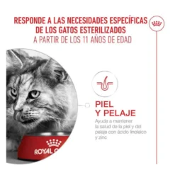 Royal Canin Ageing 11+ Sterilised pienso para gatos senior