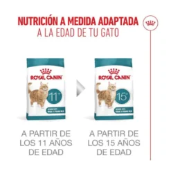 Royal Canin Ageing 11+ Sterilised pienso para gatos senior