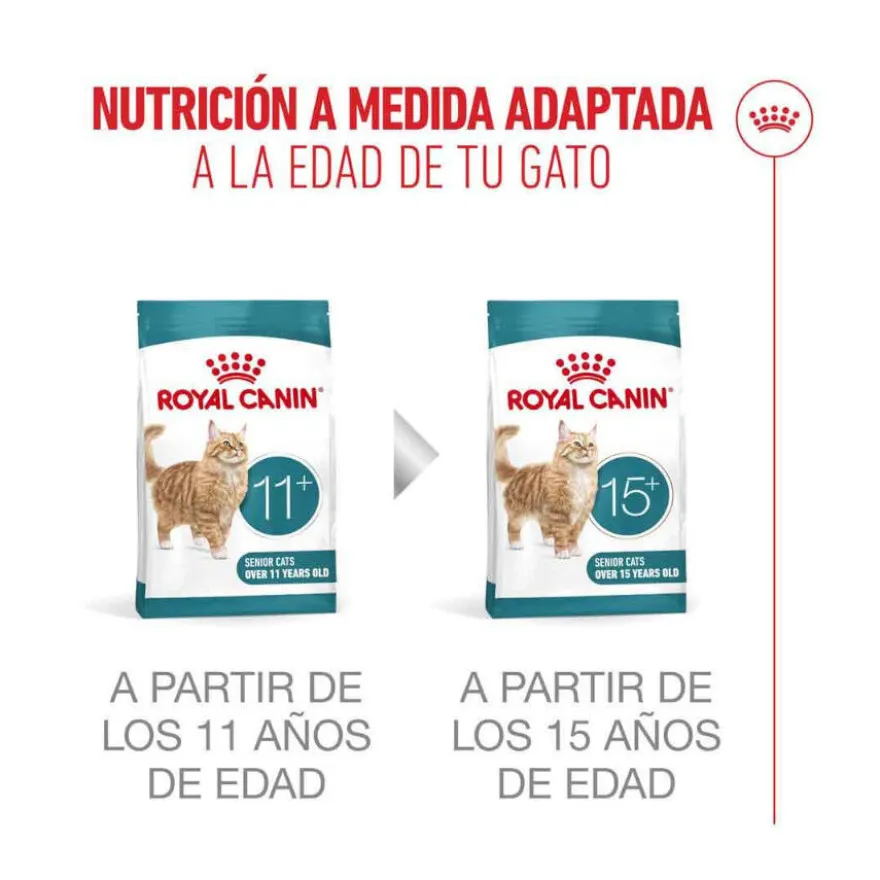 Royal Canin Ageing 11+ Sterilised pienso para gatos senior
