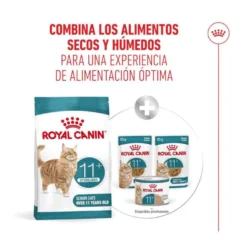 Royal Canin Ageing 11+ Sterilised pienso para gatos senior